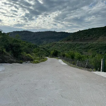 Qyteza & * Shkoder