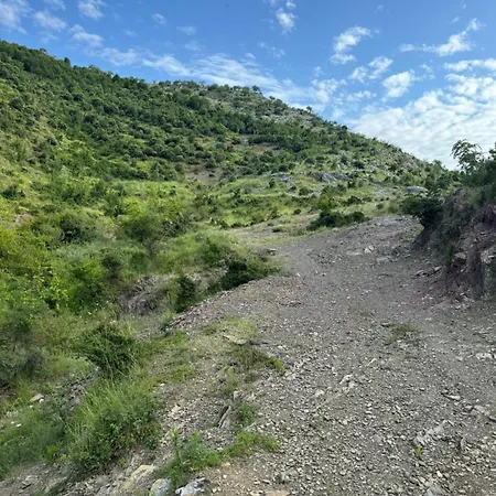 Qyteza & Apartment