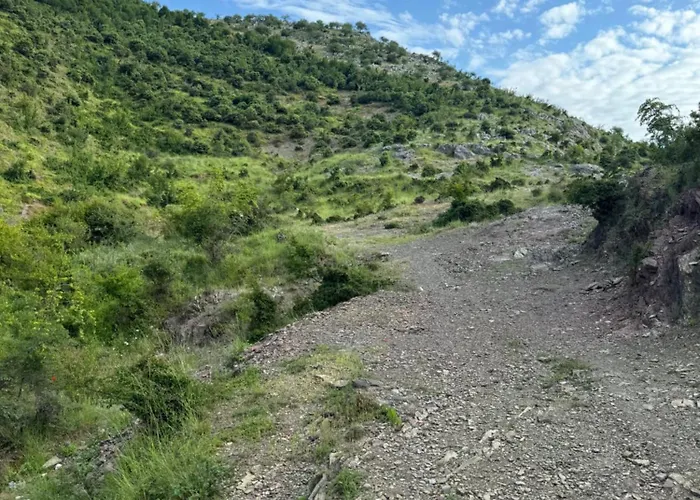 Qyteza & Apartment